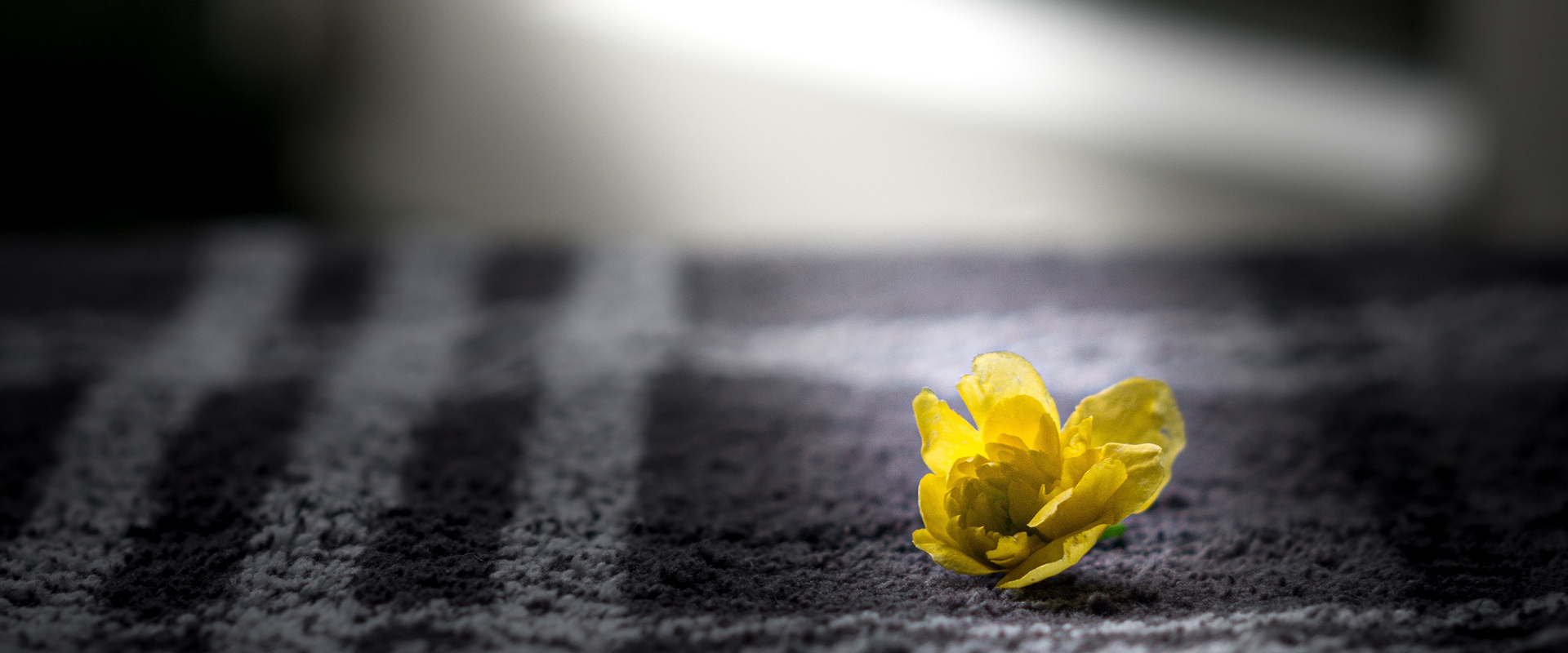 Stephen Ministry
Oak Brook | Butterfield
